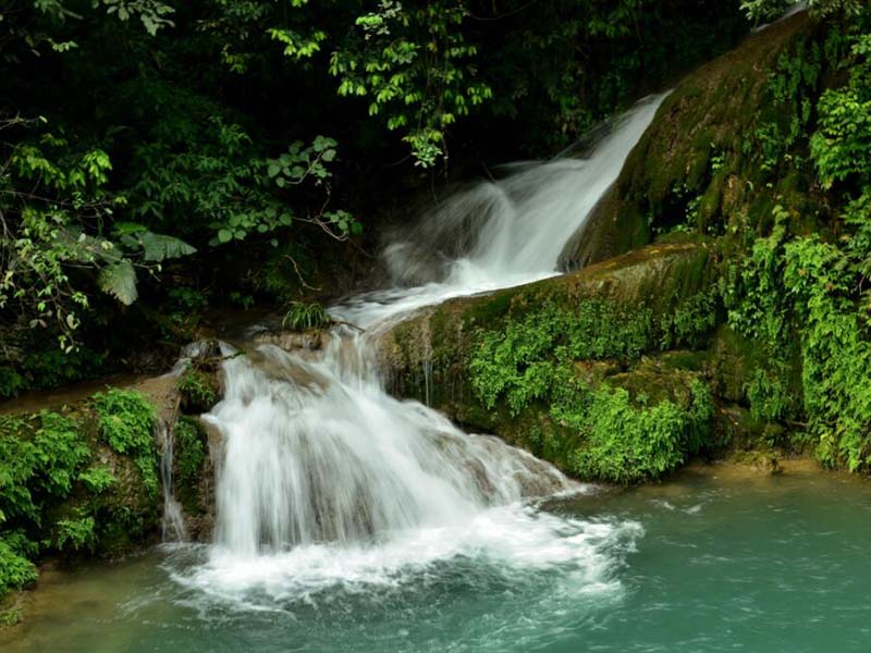 【統(tǒng)計(jì)】2020年全國用了多少水？共有多少個(gè)水廠？