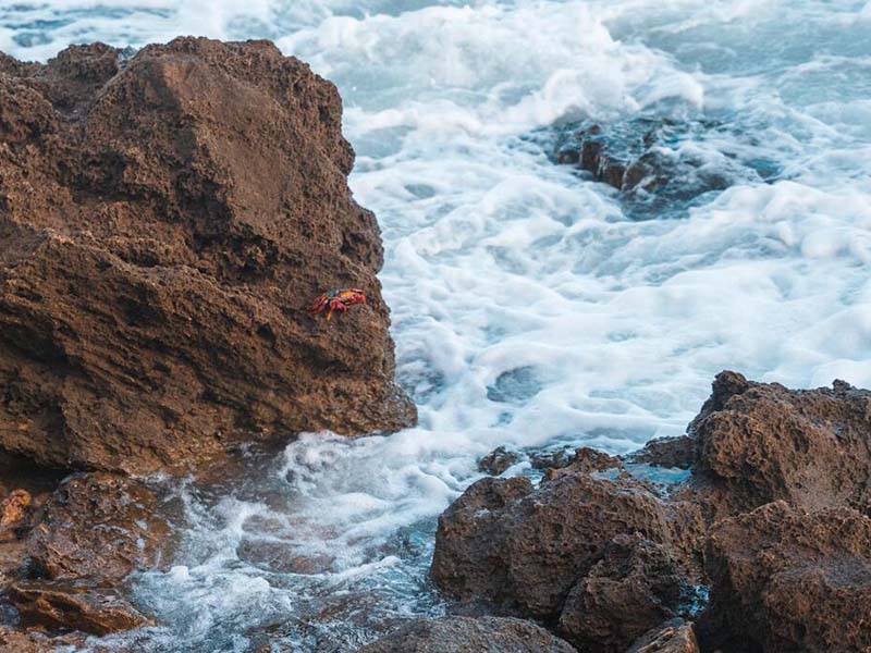 如何驗(yàn)證水質(zhì)測(cè)定儀的性能