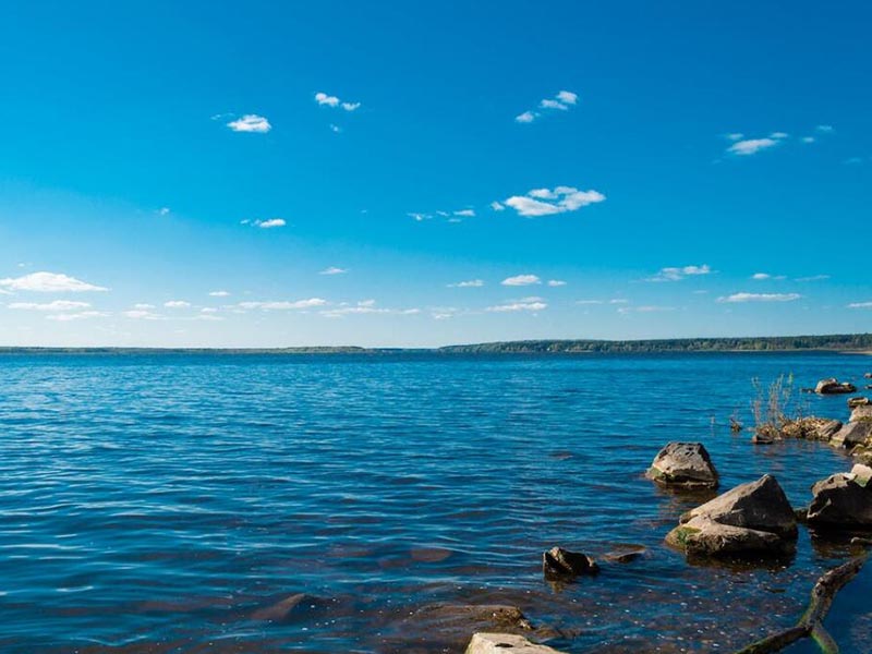 如何選擇合適的余氯分析儀