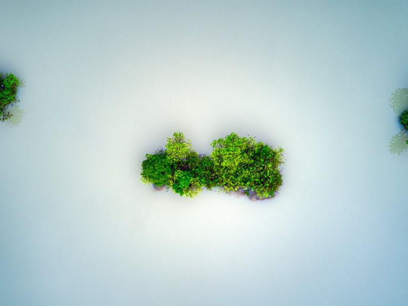 如何正確保養(yǎng)COD快速測定儀（COD快速測定儀操作指南）